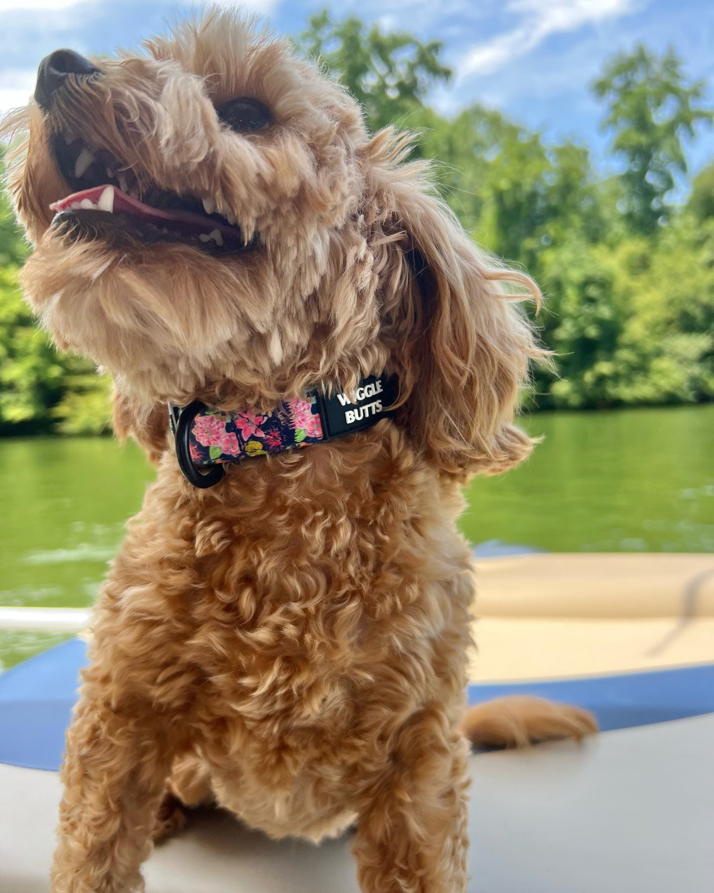 Naples Navy Collar