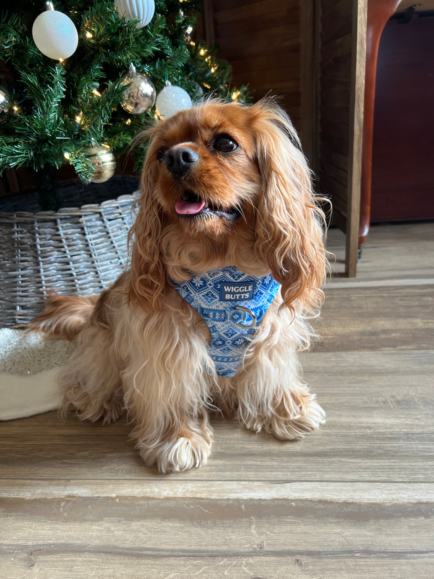 Frosty Fair Isle Adjustable Harness