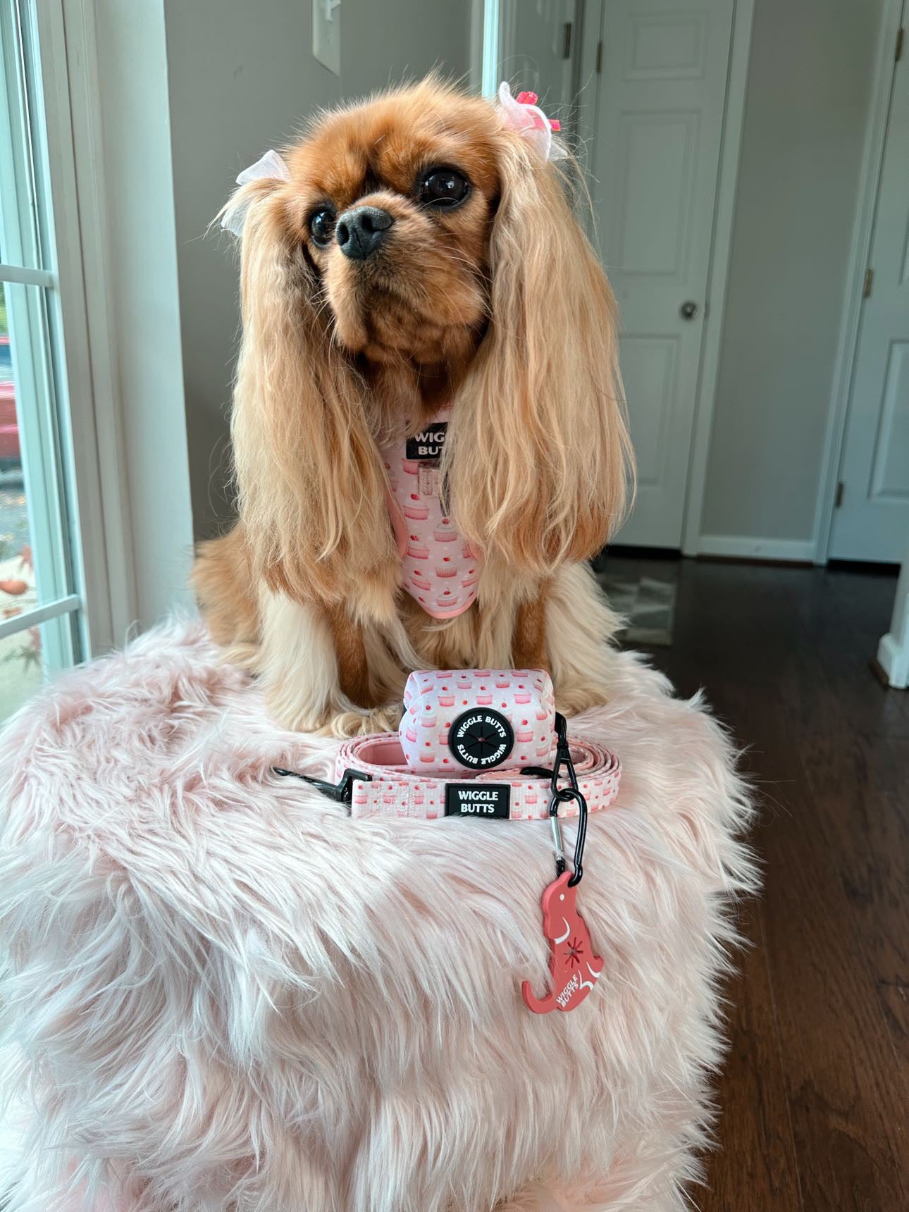 Baby Pink Bakeshop Bundle