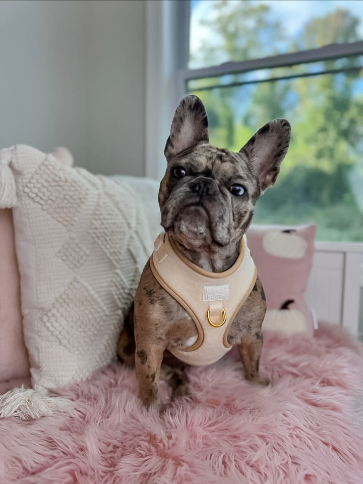 Sherpaw Adjustable Harness