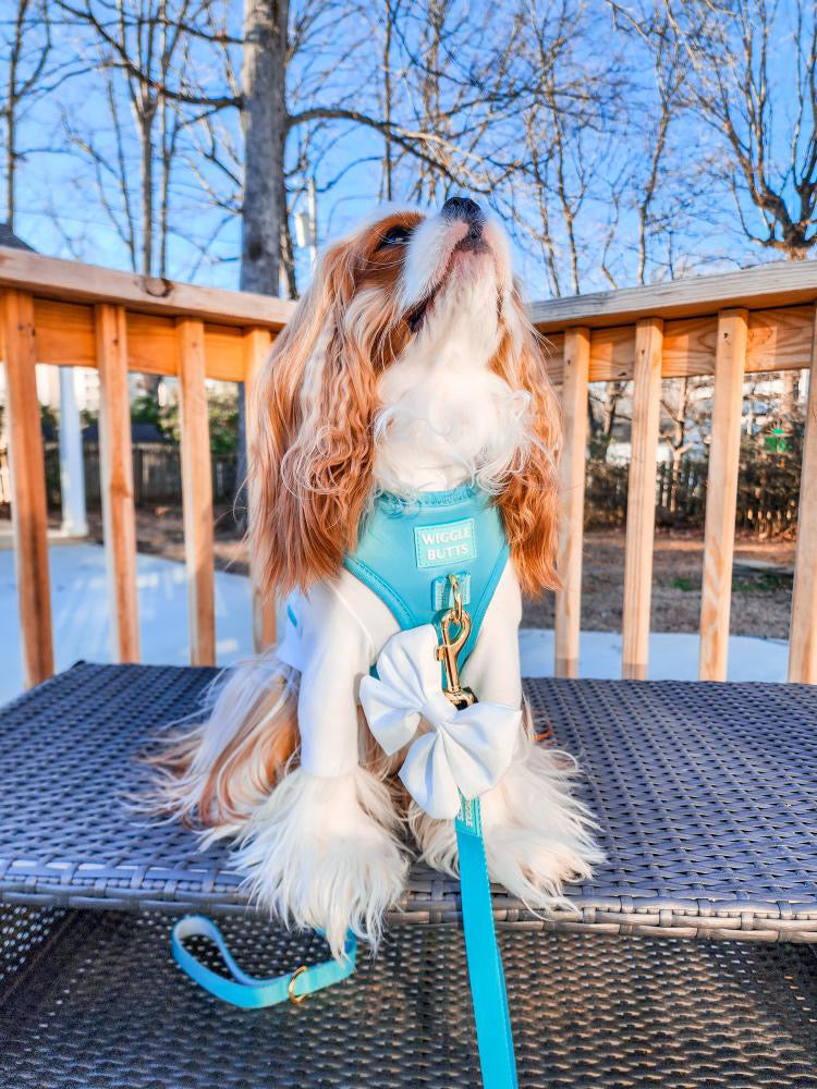 Barkfast @ Sniffany's Adjustable Harness