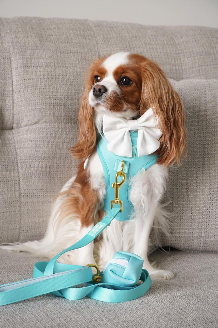 Barkfast @ Sniffany's Adjustable Harness