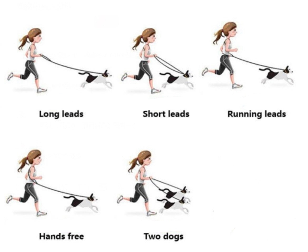 Hands Free Rope Leash