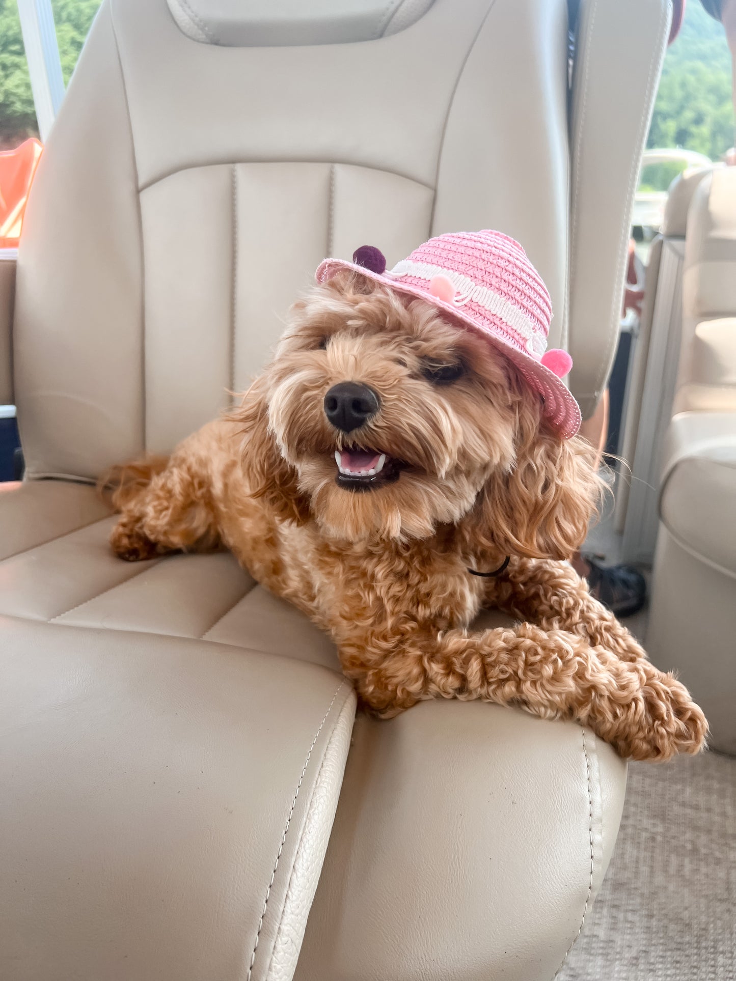Sunshine Pawty Hat