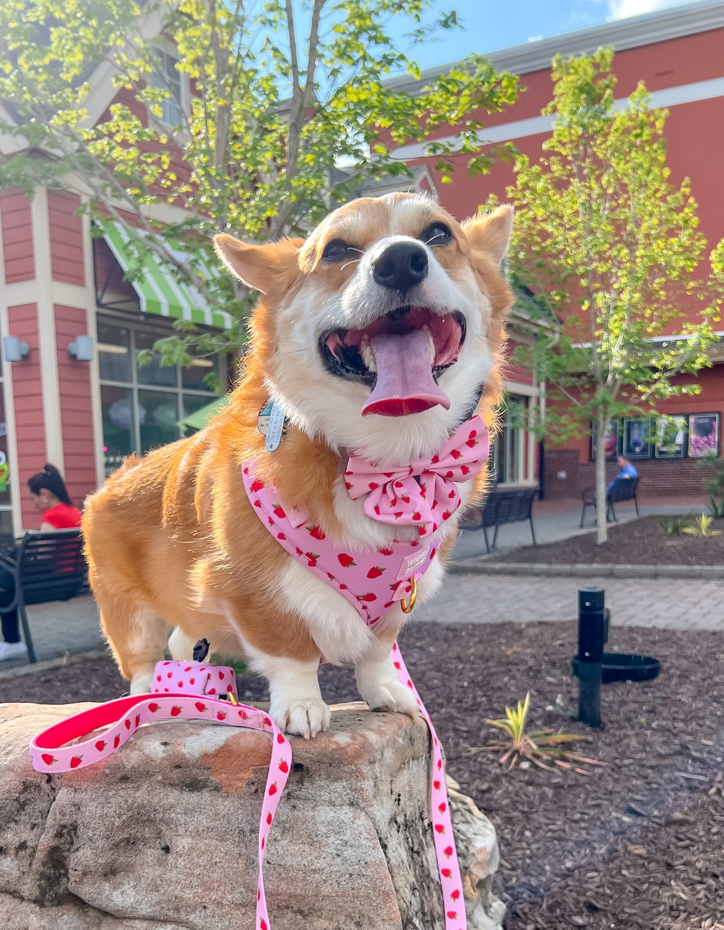 Berrylicious Adjustable Harness