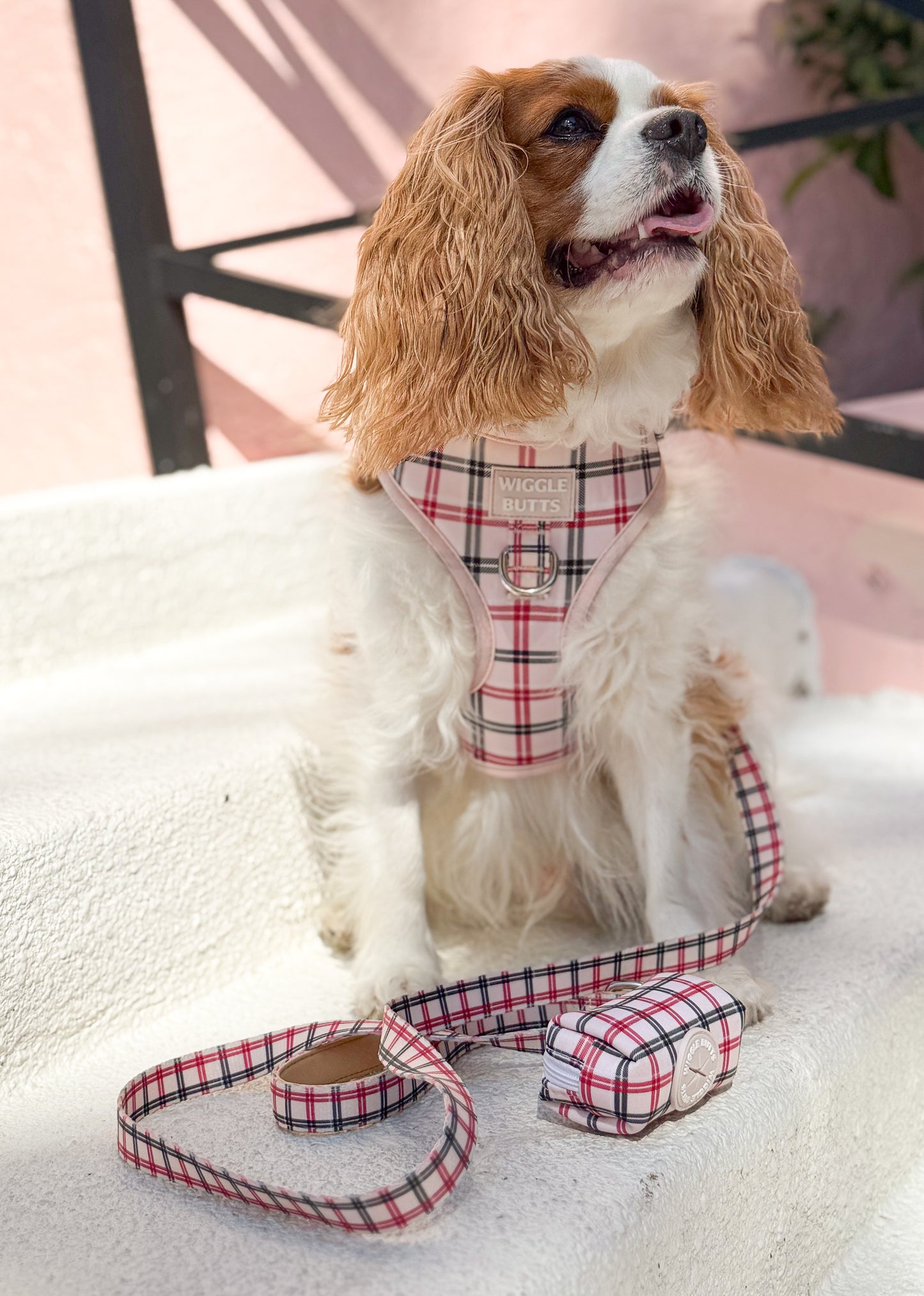 Tartan Tails Adjustable Harness