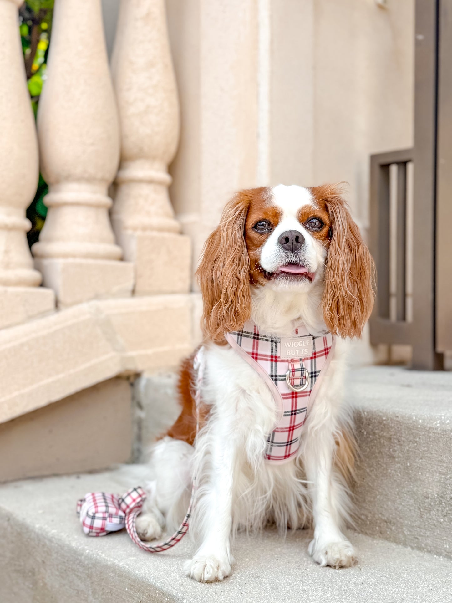 Tartan Tails Adjustable Harness