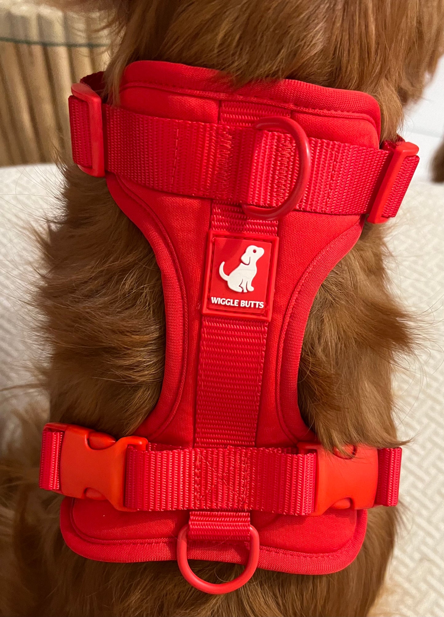 Cranberry Collection Harness
