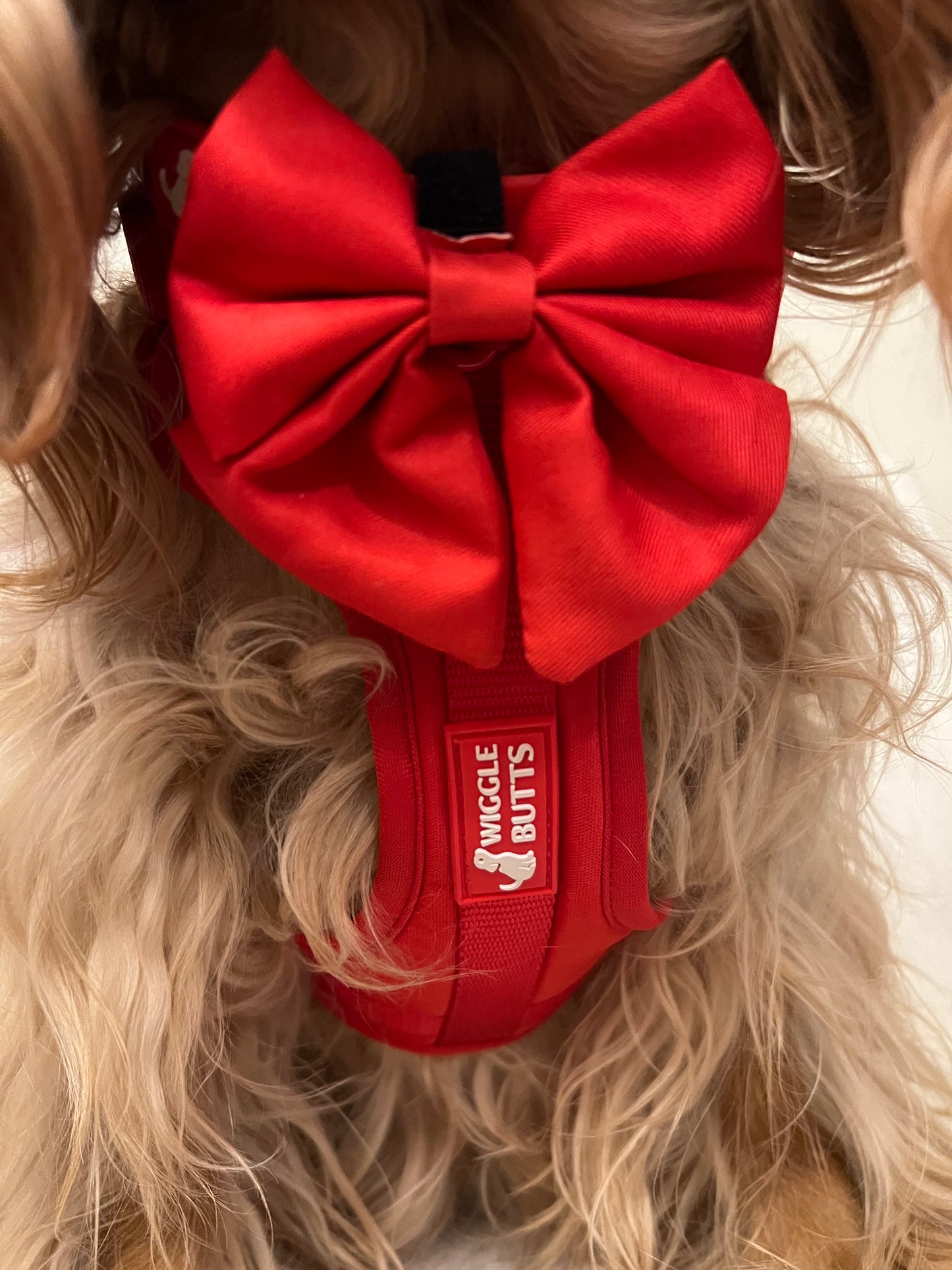 Cranberry Collection Bow