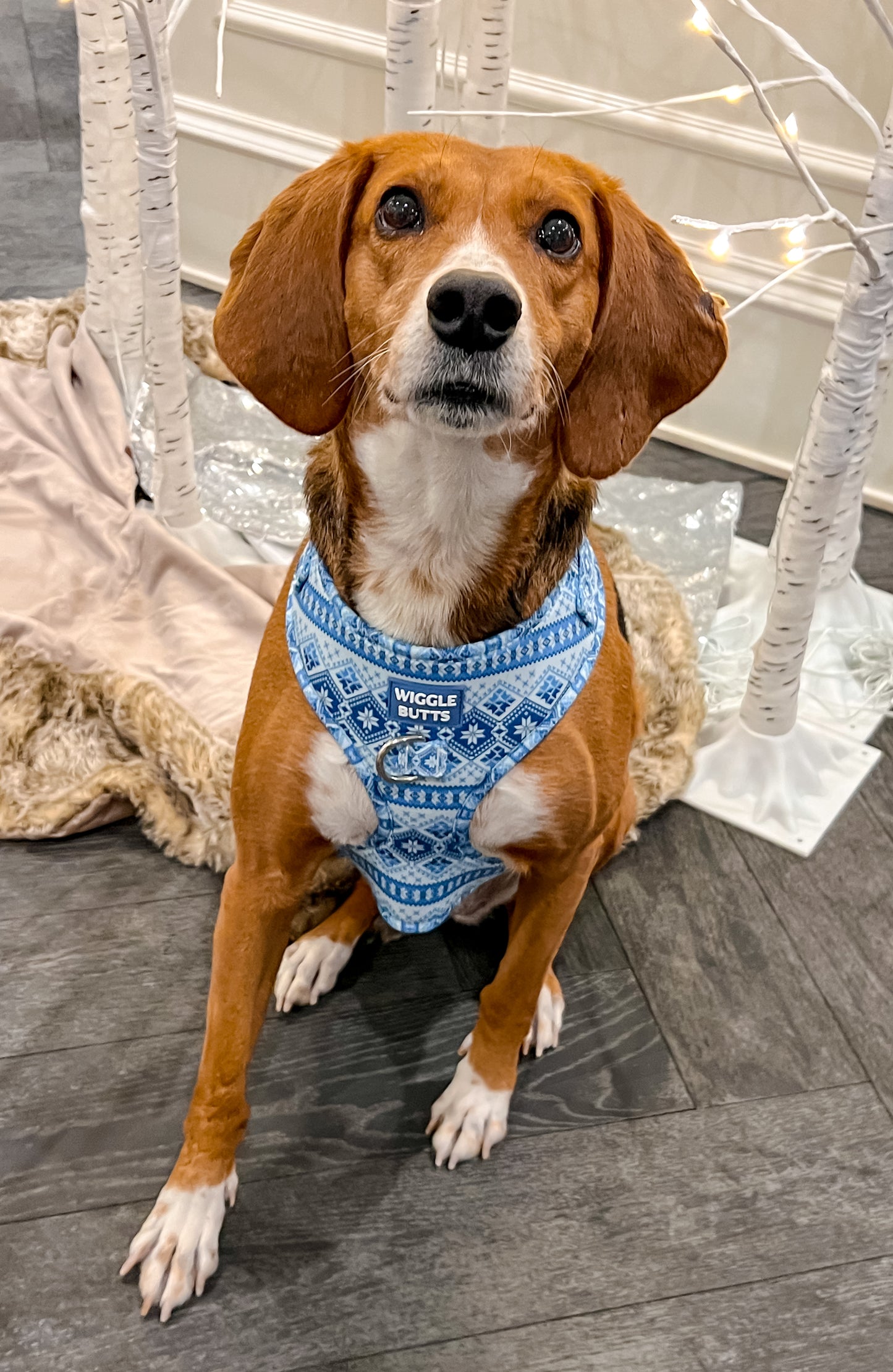Frosty Fair Isle Adjustable Harness