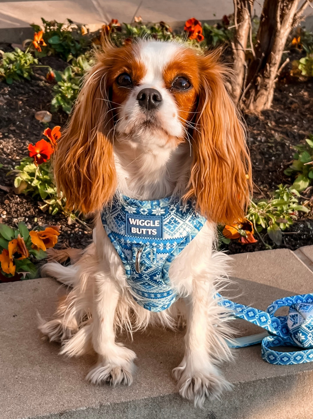 Frosty Fair Isle Adjustable Harness