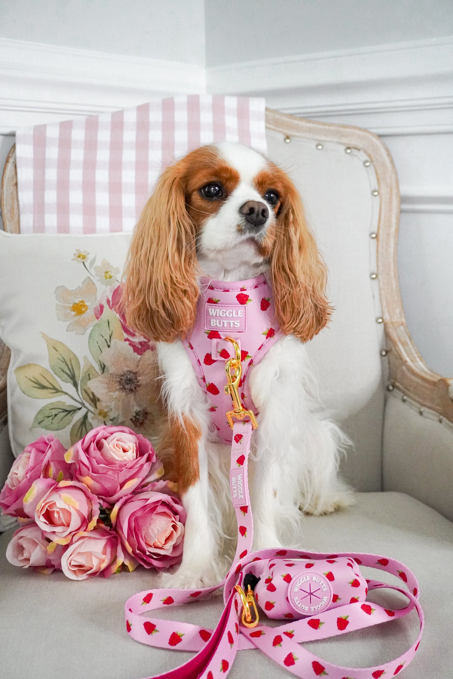 Berrylicious Adjustable Harness