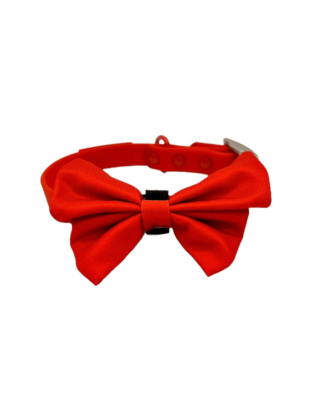 Cranberry Collection Collar