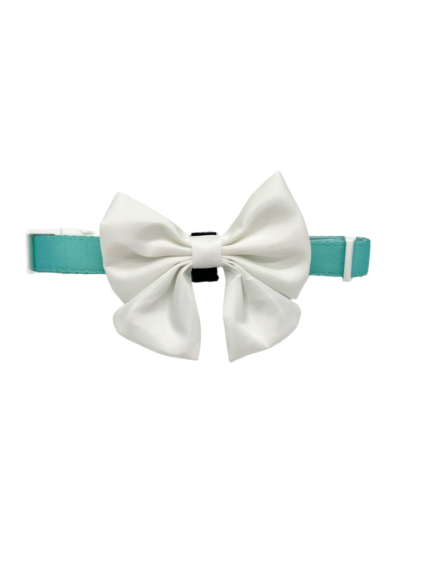 Barkfast @ Sniffany's Collar