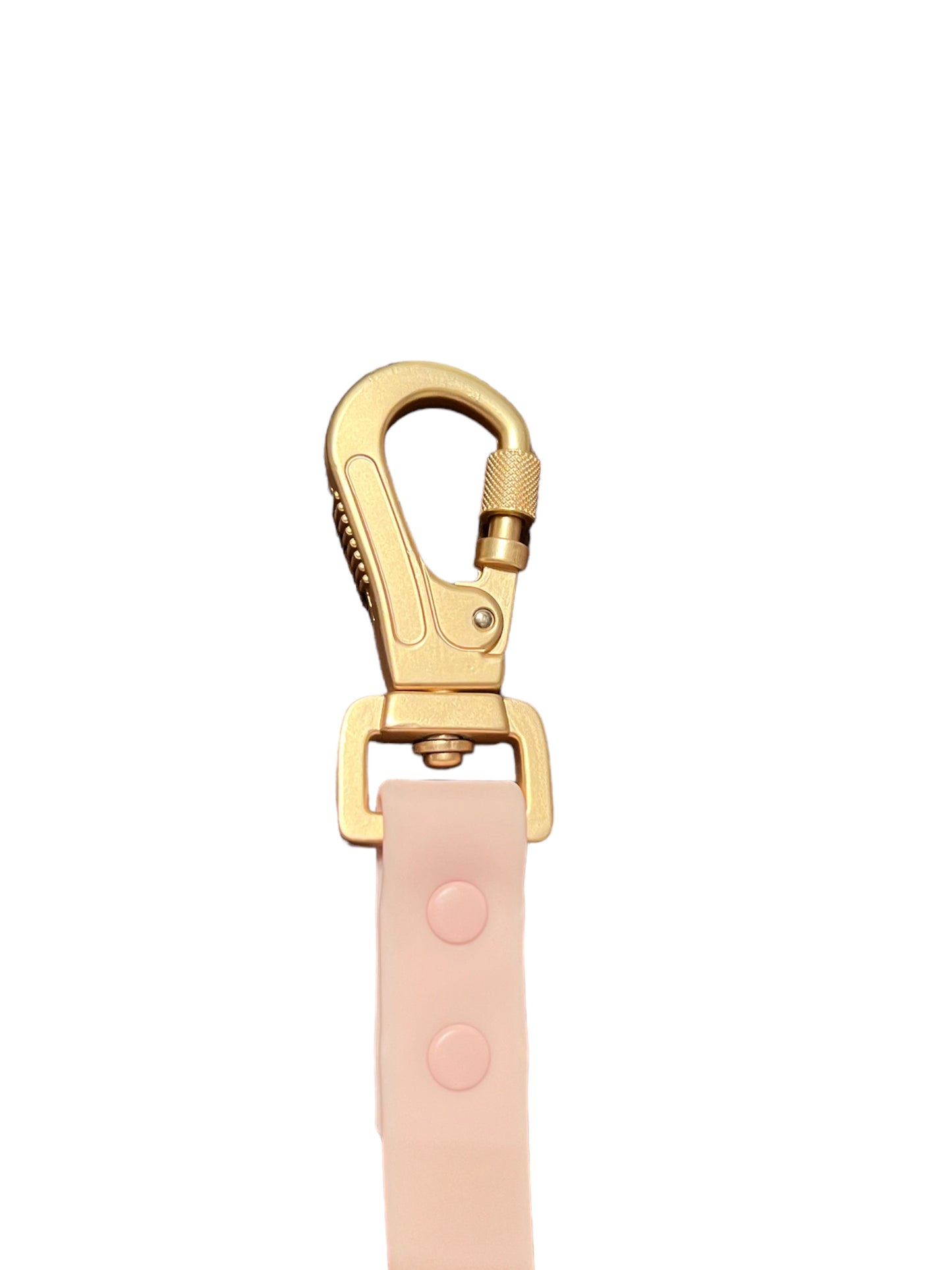 Paws in Pastels Pastel Pink Bundle