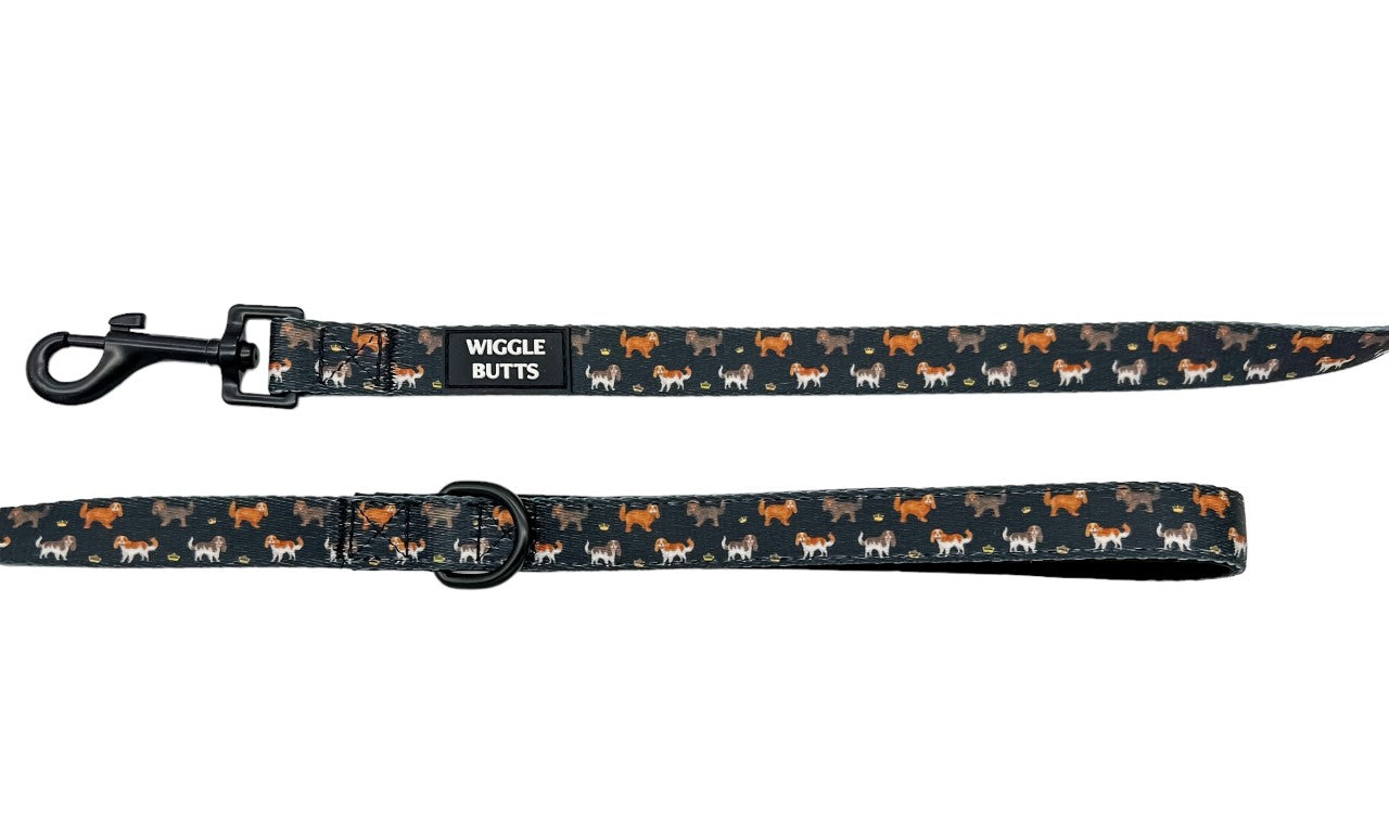 Royal Cavie Leash-Black