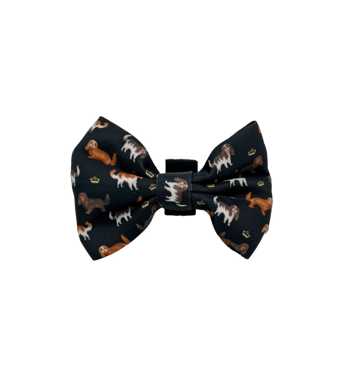 Royal Cavie Bowtie-Black