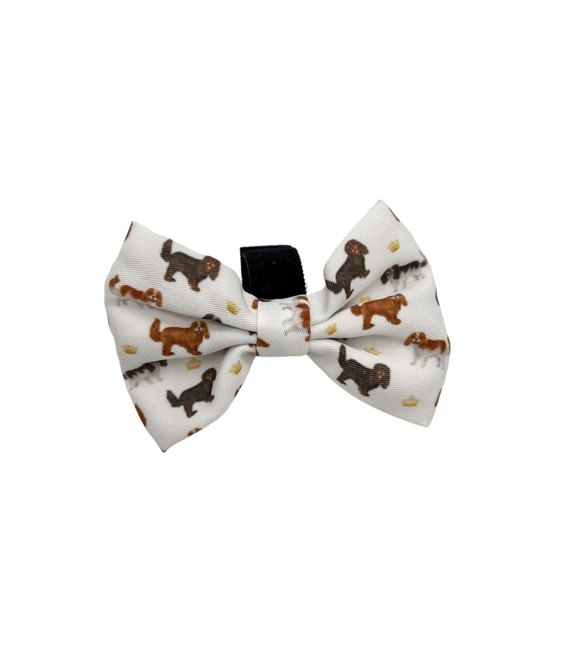 Royal Cavie Bundle-White