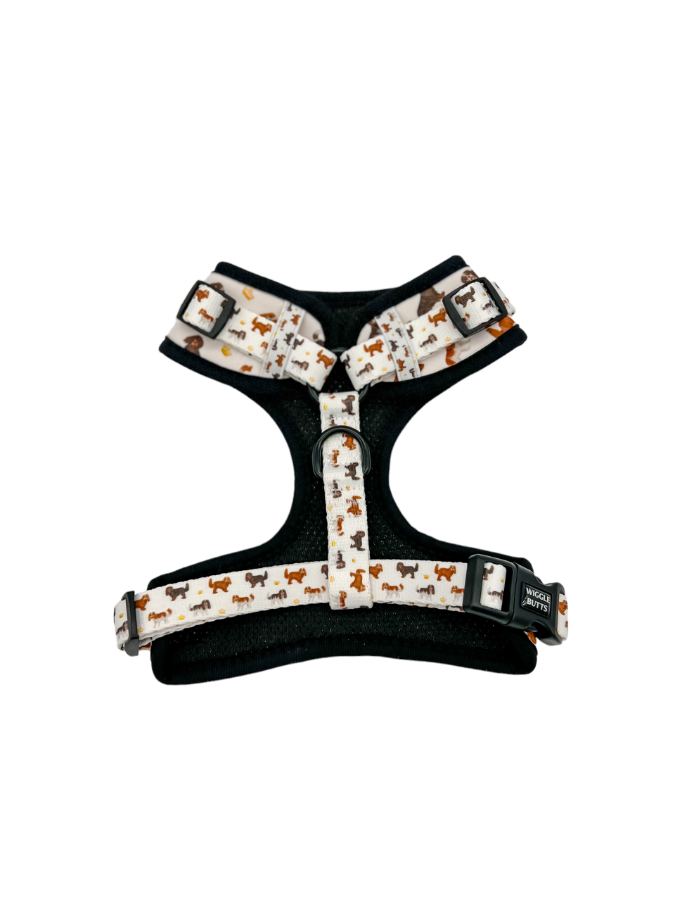 Royal Cavie Bundle-White