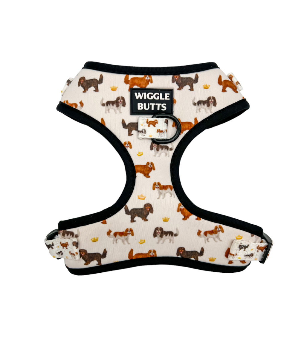 Royal Cavie Adjustable Harness-White