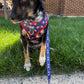 Americana Bundle