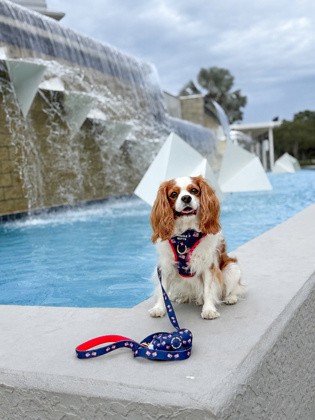 Americana Bundle