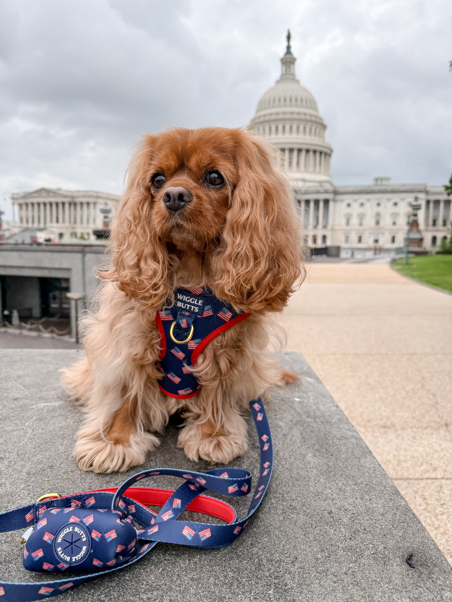 Americana Leash