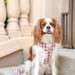 Tartan Tails Adjustable Harness