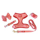 Red-dy Set Gingham Bundle