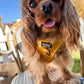 Golden Giraffes Adjustable Harness